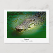 Darwin Northern Territory - Crocodile Briefkaart (Voorkant)