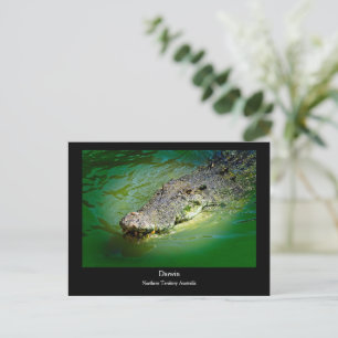 Darwin Northern Territory - Crocodile Briefkaart