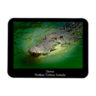 Darwin Northern Territory - Crocodile Magnet Magneet