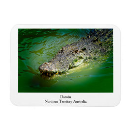 Darwin Northern Territory - Crocodile Magnet Magneet