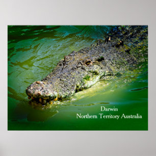 Darwin Northern Territory - Crocodile Poster