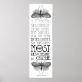 Darwin Quote Evolution Poster (Voorkant)