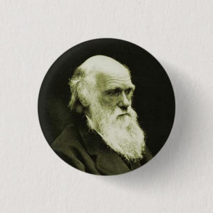 darwin ronde button 3,2 cm