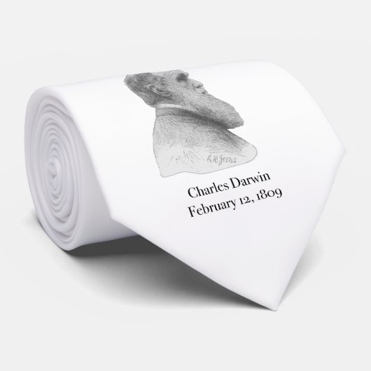 Darwin Stropdas (Opgerold)