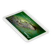 Darwin Territoire du Nord - Magnet de crocodile (Côté Droit)