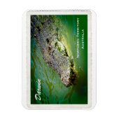 Darwin Territoire du Nord - Magnet de crocodile (Vertical)