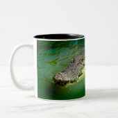 Darwin Territoire du Nord - Mug de crocodile (Gauche)