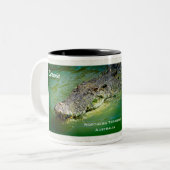Darwin Territoire du Nord - Mug de crocodile (Devant gauche)