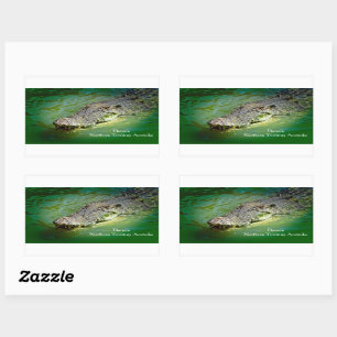 Darwin Territoire du Nord - Stickers Crocodile