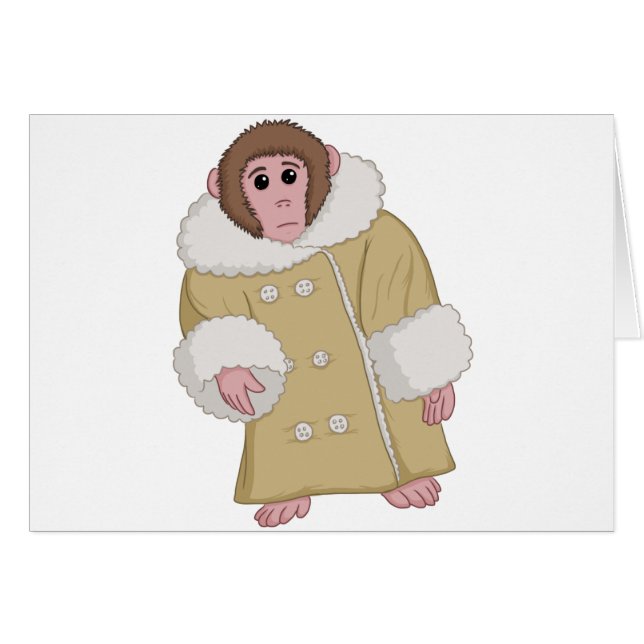 Darwin the Ikea Monkey (Voorkant Horizontaal)