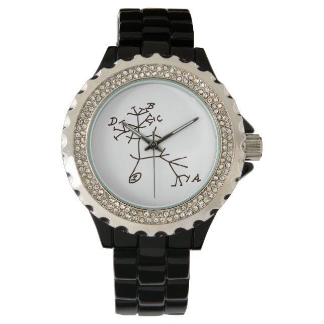 Darwin Tree of Life Horloge (Voorkant)