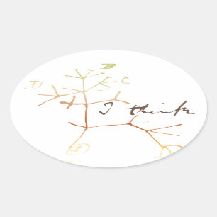 Darwin Tree of life: Ik denk Ovale Sticker