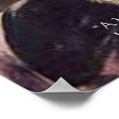 Darwin "Value of Life" Wisdom citeert Posters (Hoek)