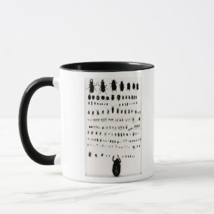 Darwins collectie mok