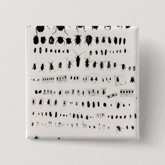 Darwins collectie vierkante button 5,1 cm (Voorkant)