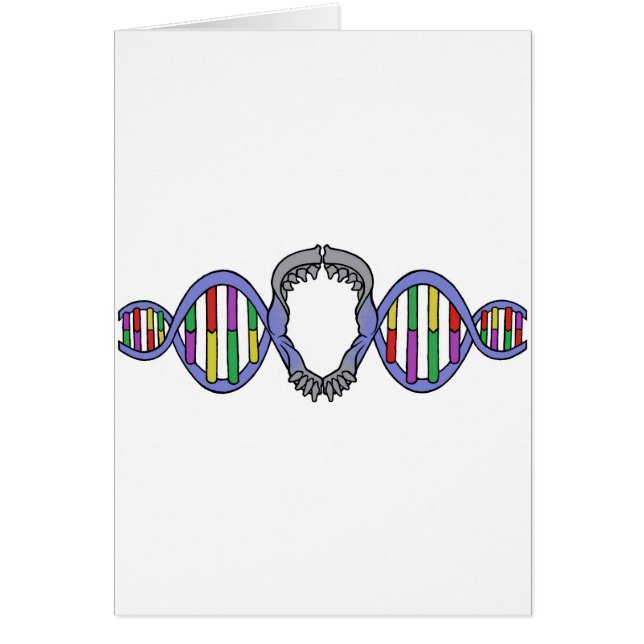 Darwins Playground-Logo (Voorkant)