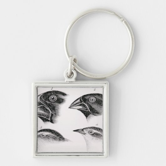 Darwins vogelwaarnemingen sleutelhanger (Voorkant)