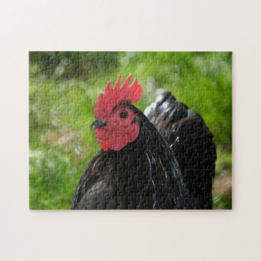 Das Huhn Legpuzzel (Horizontaal)