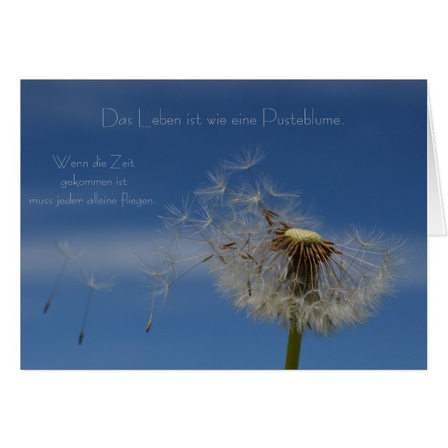 "das Leben" de mysteryella (Devant horizontal)