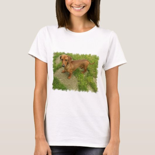 Daschund-dames uitgerust met T-Shirt (Voorkant)