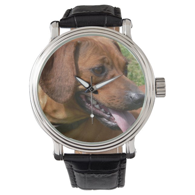 Daschund Dog Horloge (Voorkant)