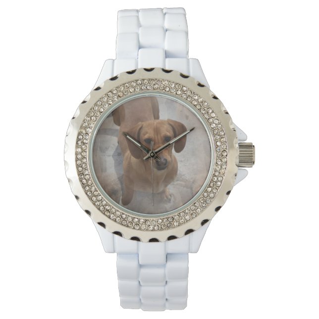 Daschund Horloge (Voorkant)