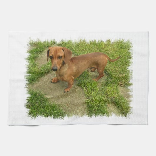 Daschund Kitchen Towel Theedoek (Horizontaal)