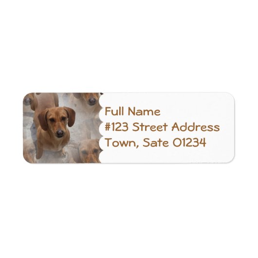 Daschund Rescue Mailing Label (Voorkant)