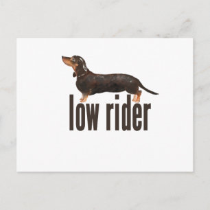 Daschund Sause Dog Briefkaart