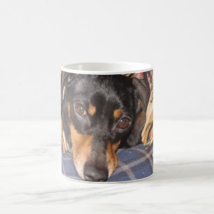 Daschund Weener Dog face Koffiemok