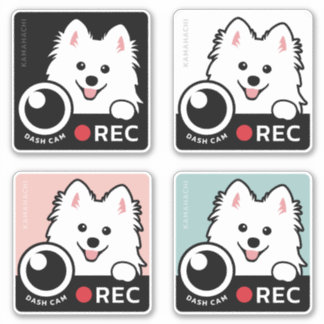 Dash Cam - Spitz Dog Opname Waarschuwing Sticker 4