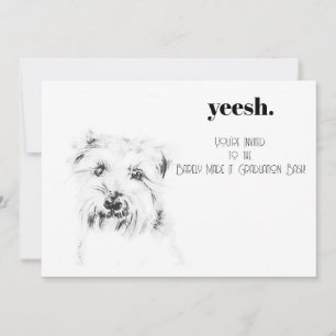 Dash de Hond Kaart