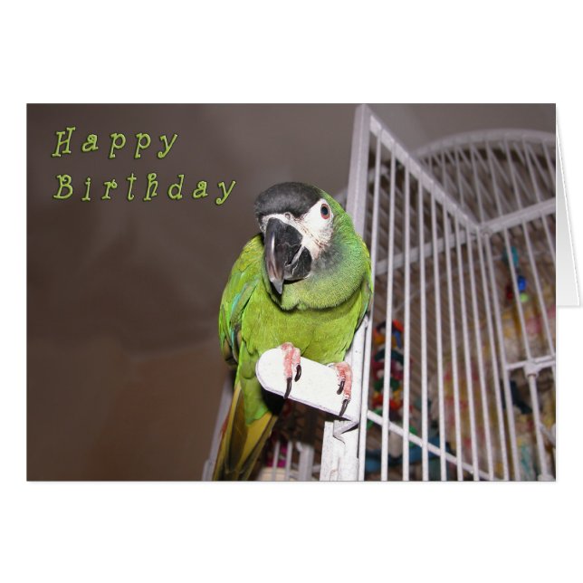 Dashing Devil (Voorkant Horizontaal)