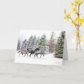 Dashing door het sneeuwbaantje kaart (Gele Bloem)