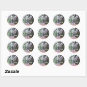 Daspletosaur - Dinosaur - Stickers Plaques (Feuille)