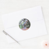 Daspletosaur - Dinosaur - Stickers Plaques (Enveloppe)