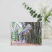 Daspletosaur - Dinosaure - Carte d'apprentissage (Debout devant)