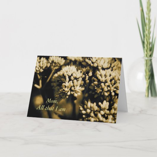 Dat alles ben ik de Kaart van het Moederdag (Voorkant)