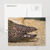 Dat is een Moray. Briefkaart (Voorkant / Achterkant)