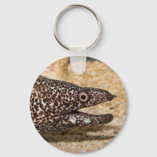 Dat is een Moray. Sleutelhanger