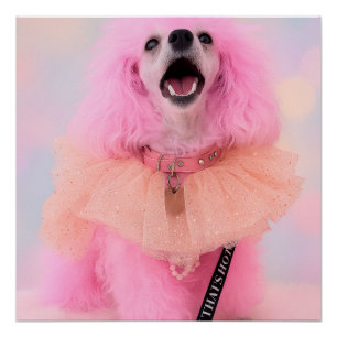Dat is Heet Dat is Roze Retro Kawaii Poodle Poster Perfect Poster
