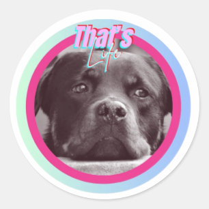 Dat is het leven ronde sticker