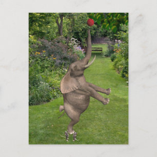 Dat is waar vrienden voor zijn briefkaart