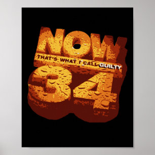 Dat is wat ik Guilty 34 Trump Felonies noem Poster