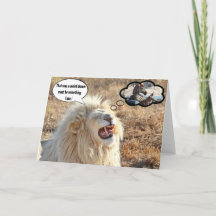 Dat was een rare droom