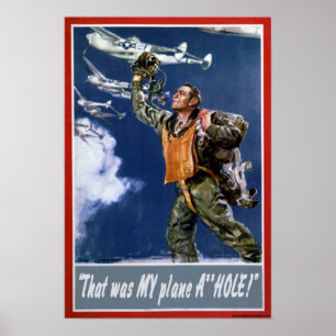 Dat was mijn vliegtuig poster