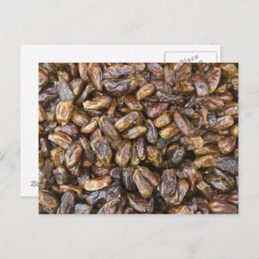 Data Briefkaart (Voorkant / Achterkant)