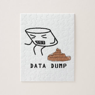 Data Dump Legpuzzel