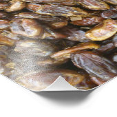 Data Foto Afdruk (Hoek)