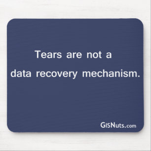 Data Recovery Mechanism Mousepad Muismat